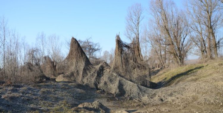 cambiamenti climatici inverno zibello